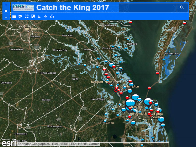 Catch the King 2017